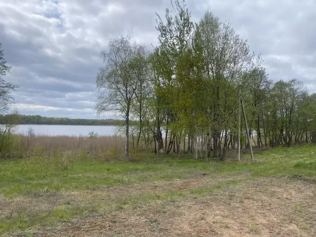 Участок в Псковская область, Куньинский район, Жижицкая волость  (17.0 ... - Фото 1