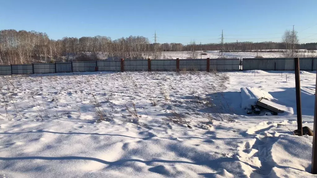 Участок в Новосибирская область, Мошковский район, пос. Октябрьский  ... - Фото 2