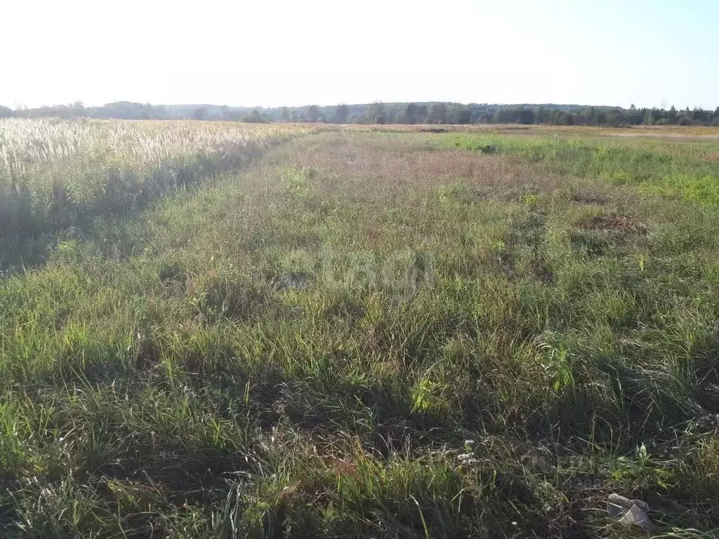 Участок в Брянская область, Брянский район, Отрадненское с/пос, с. ... - Фото 2