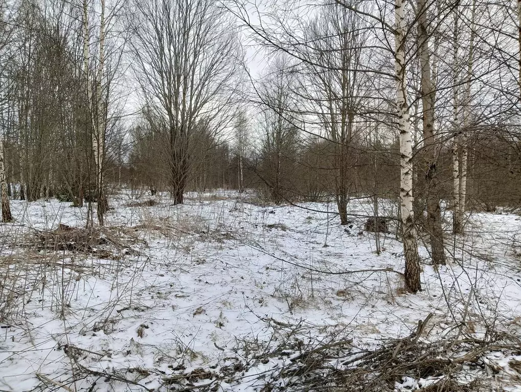 Участок в Московская область, Клин городской округ, д. Аксениха  (8.96 ... - Фото 1