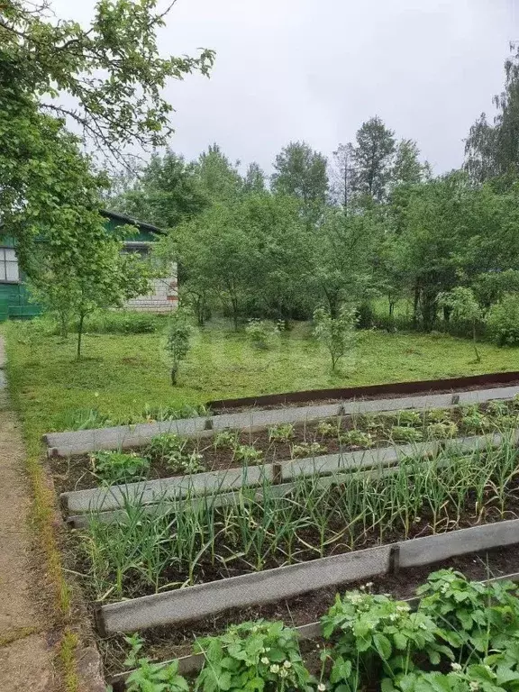 Дом в Владимирская область, Ковров Сад КЭЗ № 4 СНТ, 4 (40 м) - Фото 0