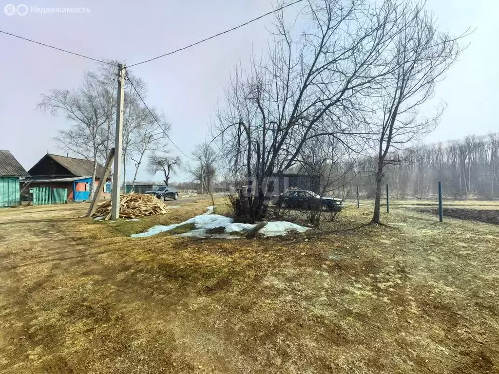 Участок в Приморский край, Анучинский муниципальный округ, село ... - Фото 0