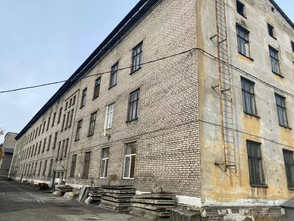 Помещение свободного назначения в Пермский край, Пермь ул. Гальперина, ... - Фото 1