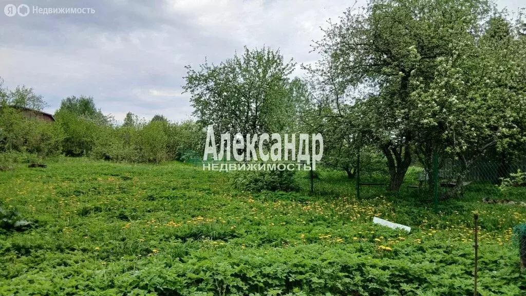 Участок в посёлок Горьковское, Спортивный переулок (12.5 м) - Фото 1