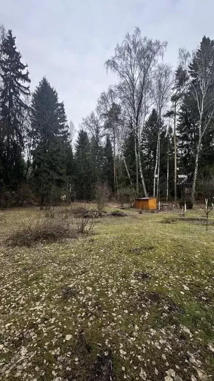 Участок в Московская область, Одинцовский городской округ, с. ... - Фото 2