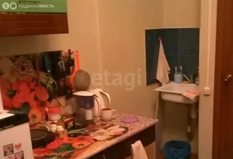 Квартира-студия: Барнаул, Северо-Западная улица, 56 (16 м) - Фото 1