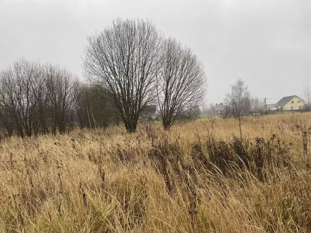 Участок в Московская область, Луховицы пер. 4-й Рябиновый, 3 (25.66 ... - Фото 1