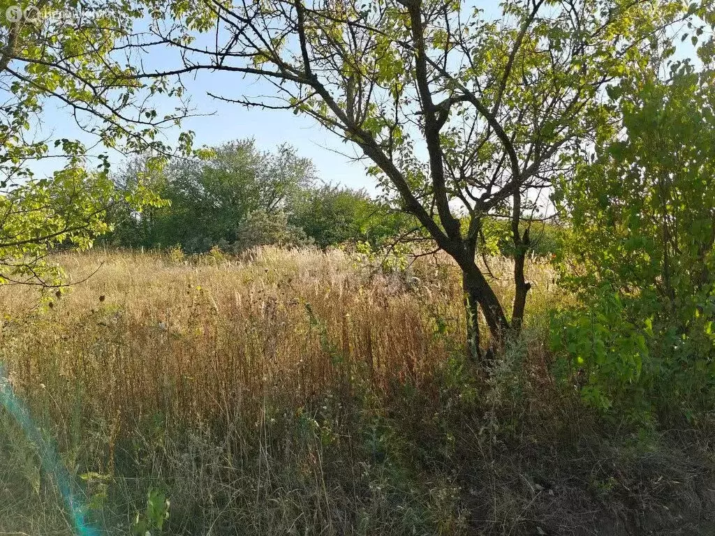 Участок в Корочанский район, Мелиховское сельское поселение, садовое ... - Фото 2