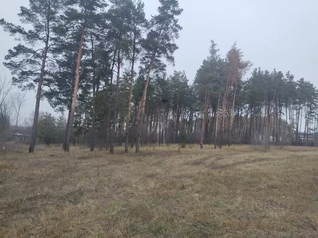 Участок в Воронежская область, Воронеж Первое Мая мкр,  (8.0 сот.) - Фото 2