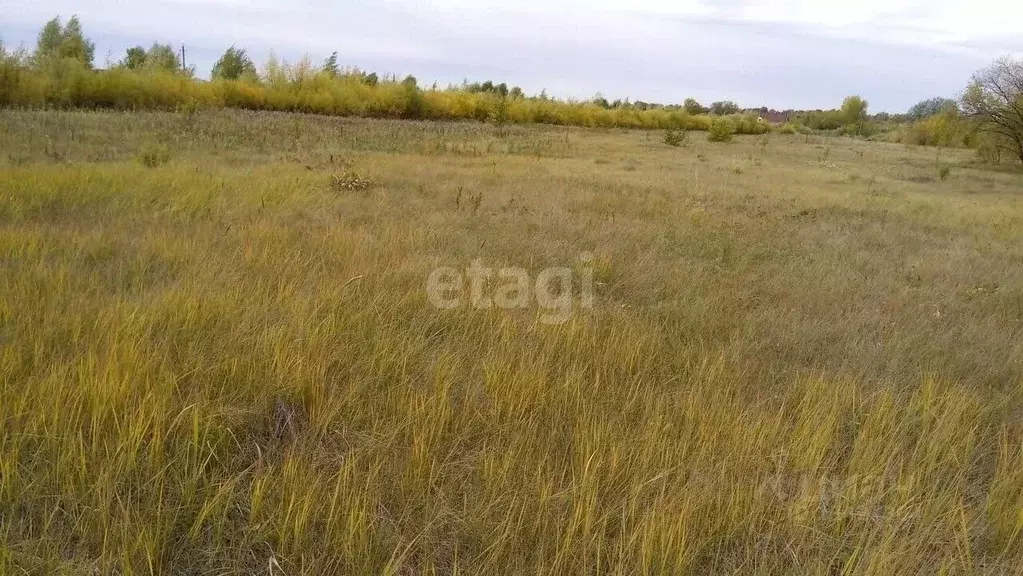 Участок в Курганская область, Кетовский муниципальный округ, с. ... - Фото 1