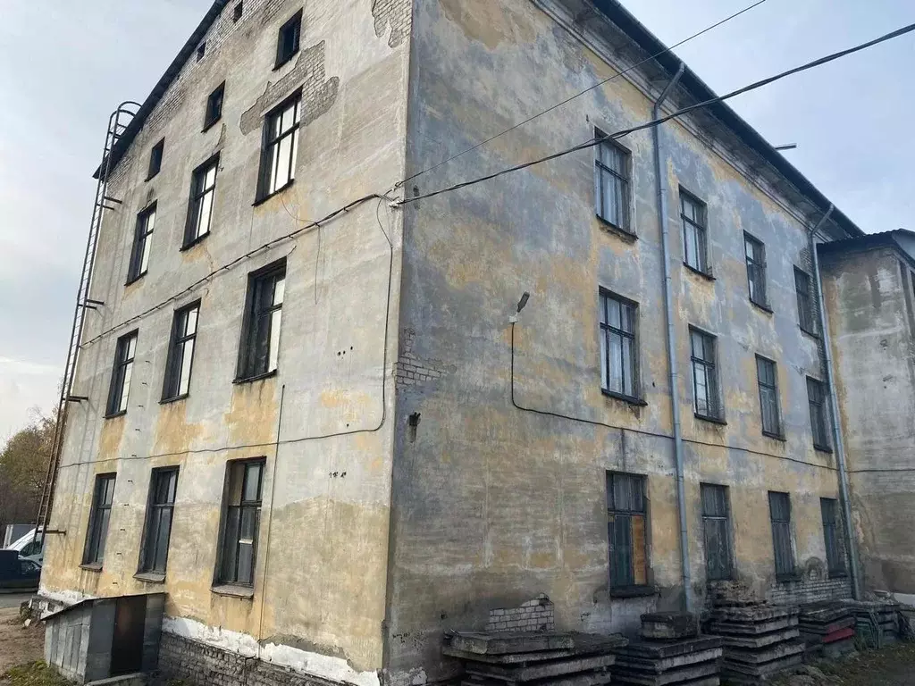 Помещение свободного назначения в Пермский край, Пермь ул. Гальперина, ... - Фото 2