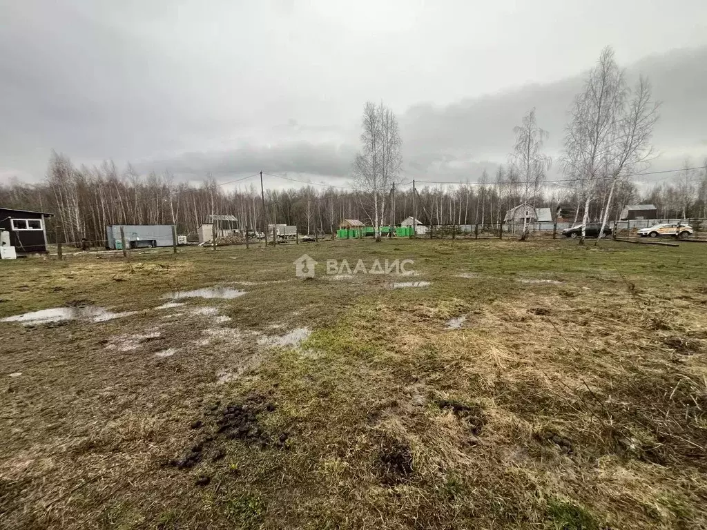 Участок в Московская область, Коломна городской округ, с. Чанки  (12.0 ... - Фото 1