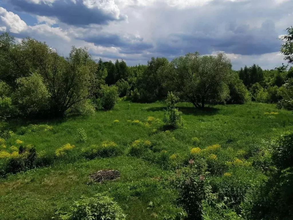 Участок в Московская область, Коломна  (9.99 сот.) - Фото 2