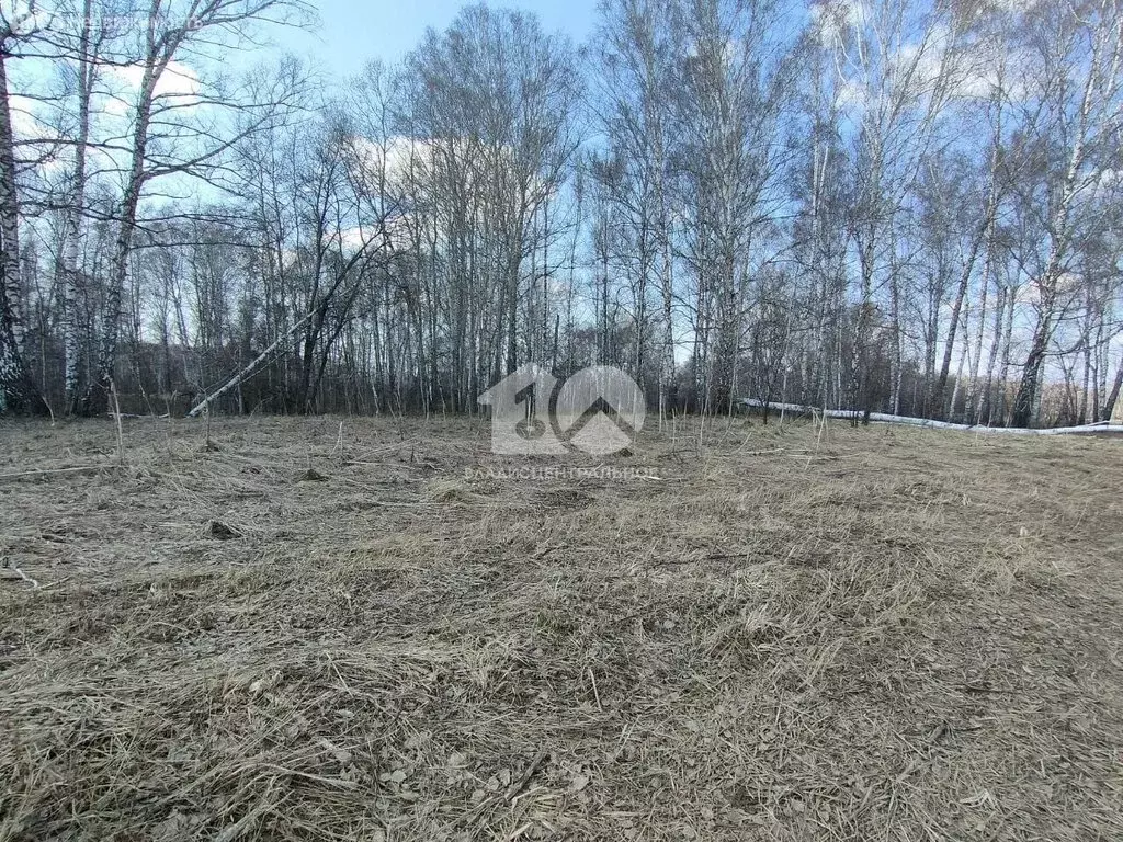 Участок в Новосибирский район, Криводановский сельсовет, село Марусино ... - Фото 2