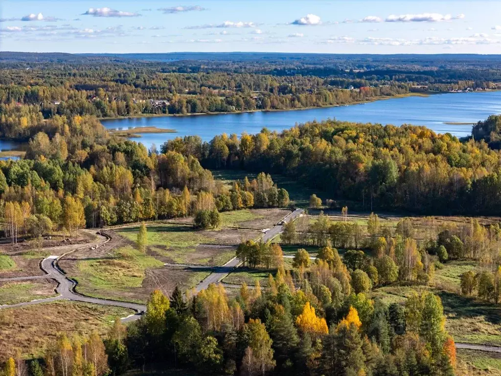 Участок в Ленинградская область, Приозерский район, Ромашкинское ... - Фото 2