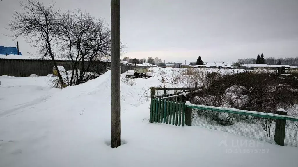 Участок в Омская область, Тарский район, с. Чекрушево Зеленая ул. ... - Фото 1