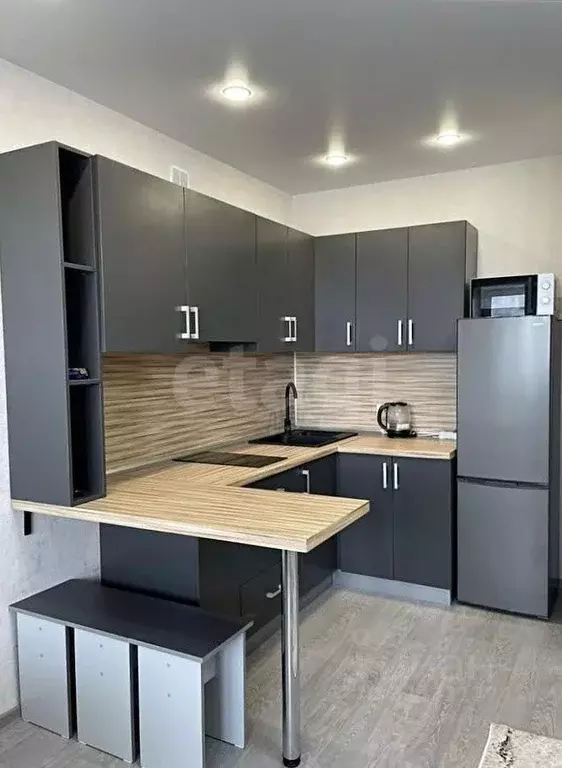 Студия Амурская область, Благовещенский район, с. Чигири ул. Красивая, ... - Фото 2