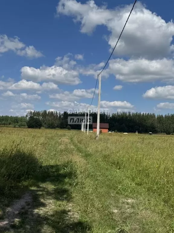Участок в Курская область, Октябрьский район, Большедолженковский ... - Фото 1