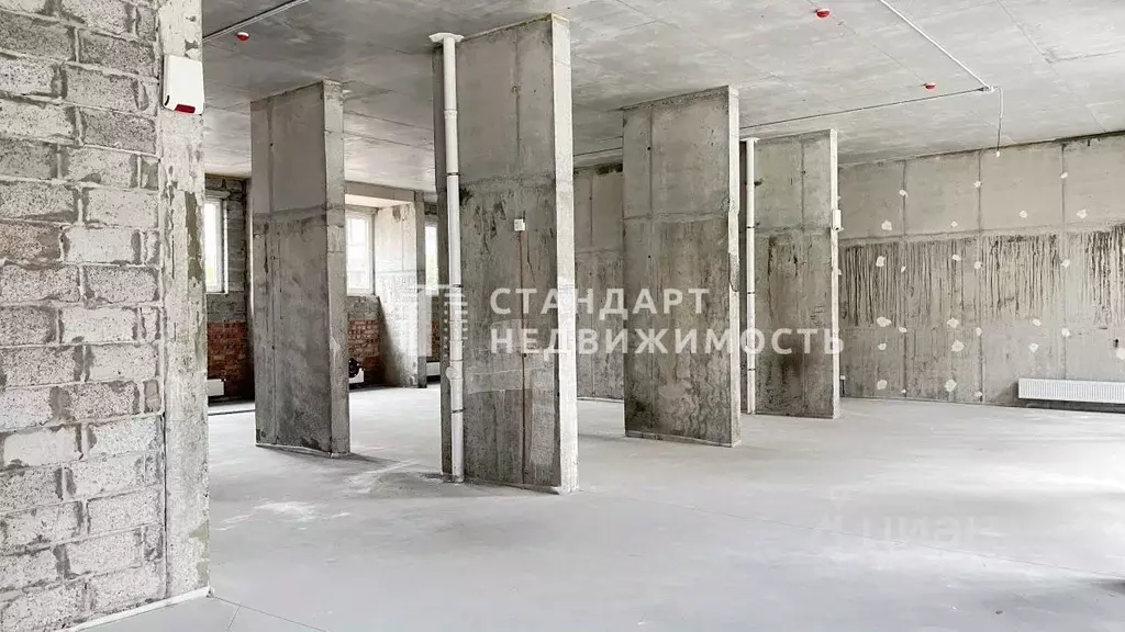Торговая площадь в Тюменская область, Тюмень ул. Разведчика Кузнецова, ... - Фото 1