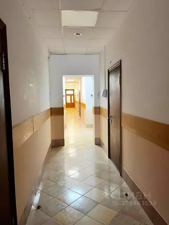 Помещение свободного назначения в Новосибирская область, Новосибирск ... - Фото 1