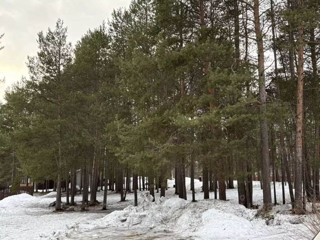 2-к кв. Мурманская область, Кольский муниципальный округ, ... - Фото 1