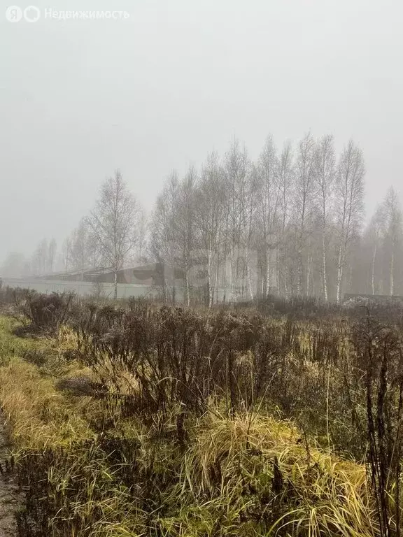 Участок в село Дубна, Каргашиновская улица (8 м) - Фото 1