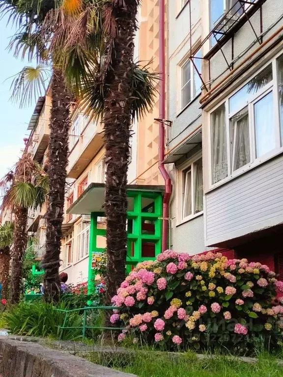 1-к кв. Краснодарский край, Сочи Лазаревское жилрайон, ул. ... - Фото 1