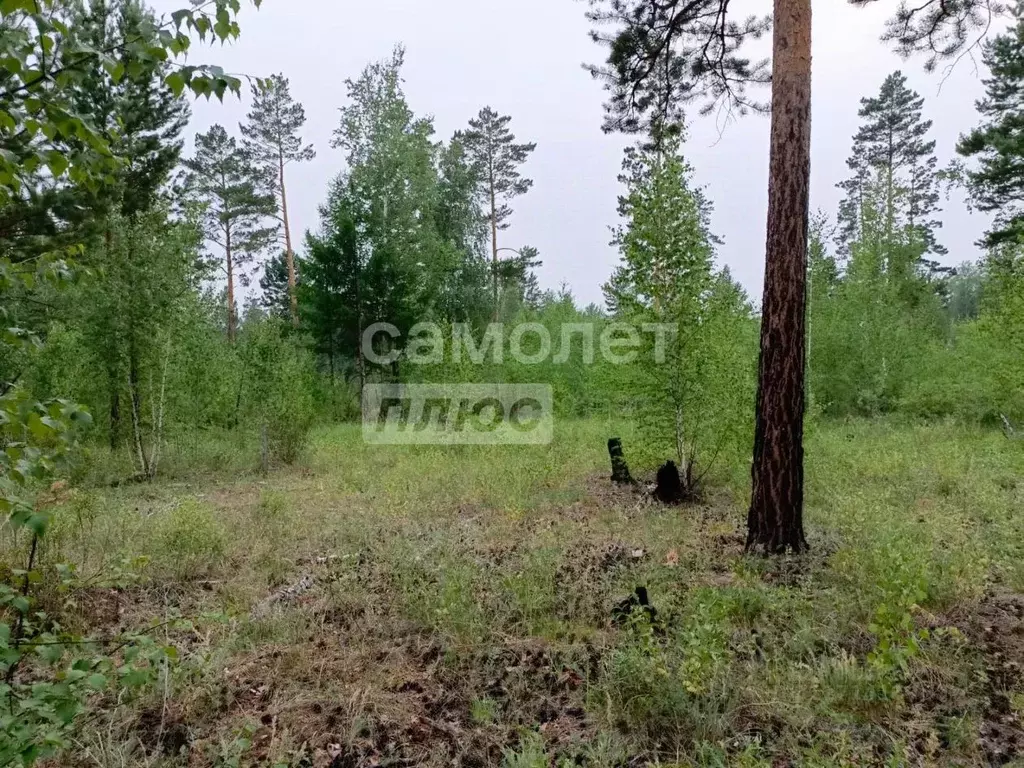 Участок в Забайкальский край, Читинский район, с. Смоленка 4032 (10.0 ... - Фото 0
