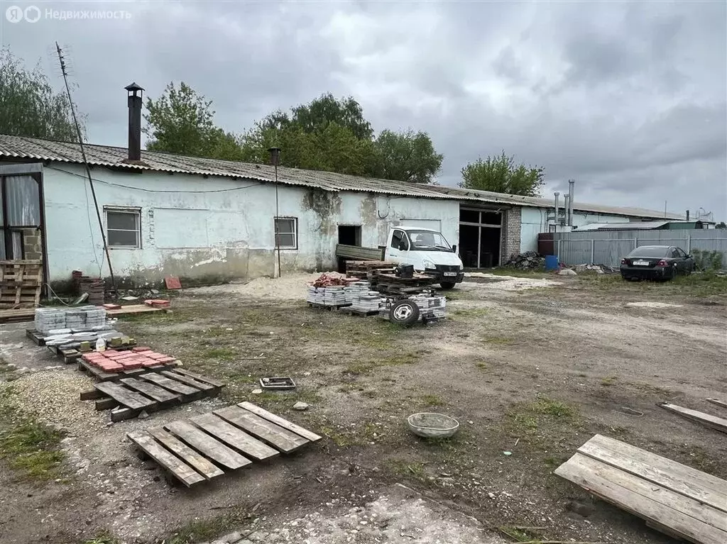 Помещение свободного назначения (1000 м) - Фото 2