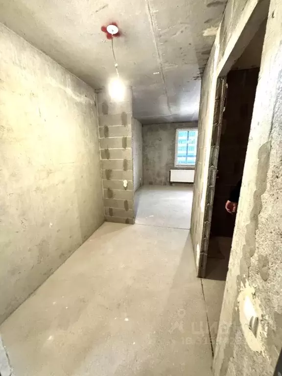 Студия Ленинградская область, Ломоносовский район, Аннинское городское ... - Фото 1