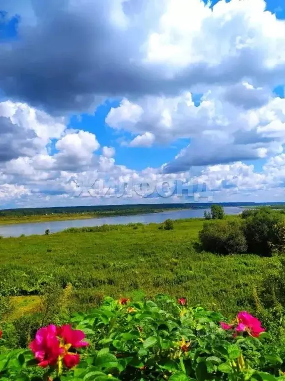 Дом в Томская область, Томский район, Медведка садовое товарищество  ... - Фото 2