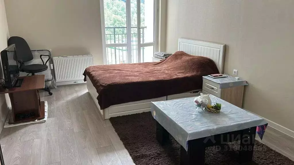 Студия Краснодарский край, Сочи ул. Искры, 88к3 (30.0 м) - Фото 0