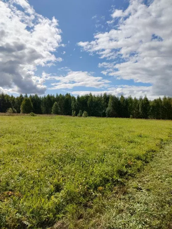Участок в Вологодская область, Череповецкий район, д. Нагавицыно  ... - Фото 0