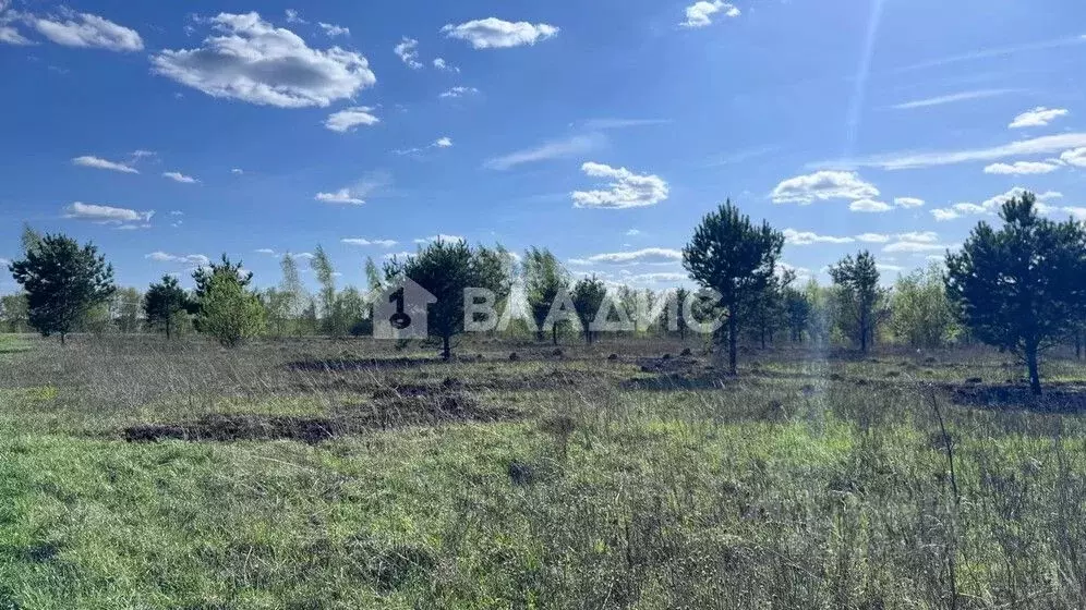 Участок в Московская область, Коломна городской округ, с. Лукерьино ... - Фото 2