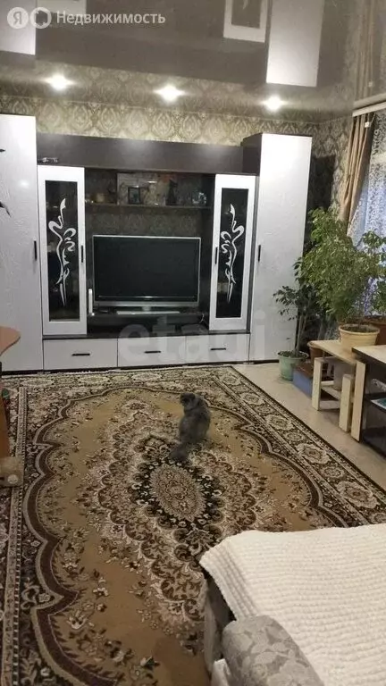 Дом в Искитим, улица Лермонтова (52.4 м) - Фото 2