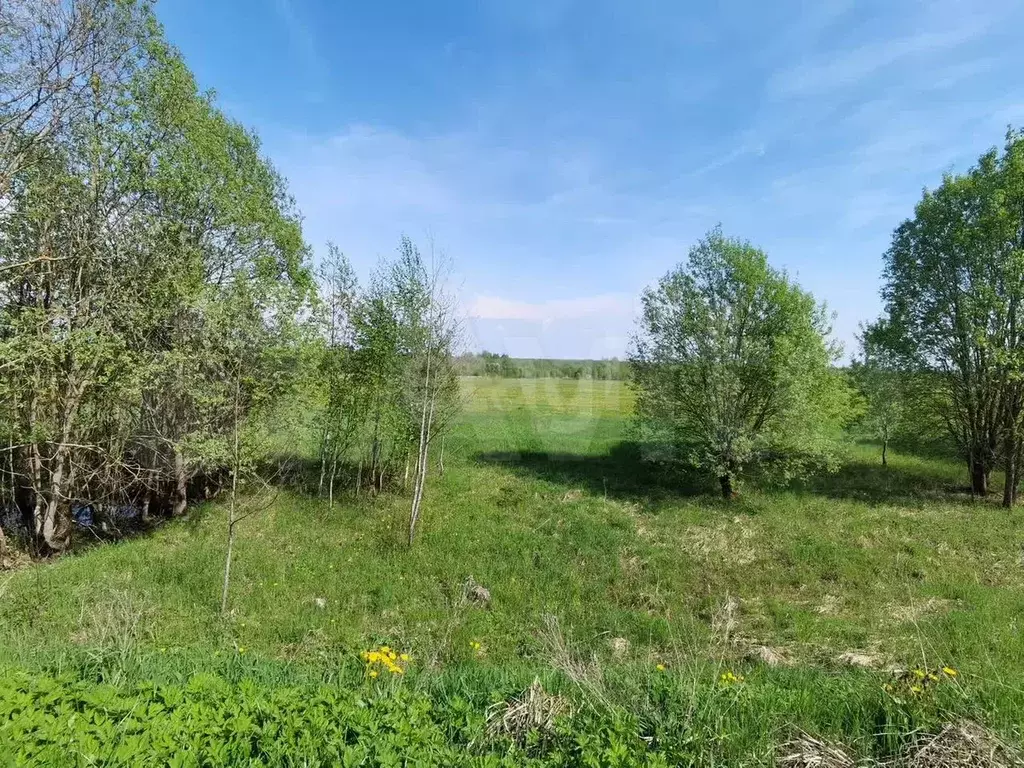 Участок 10,68 га (СНТ, ДНП) - Фото 1