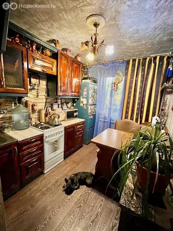 2-комнатная квартира: Волгоград, улица Быстрова, 54 (51 м) - Фото 0