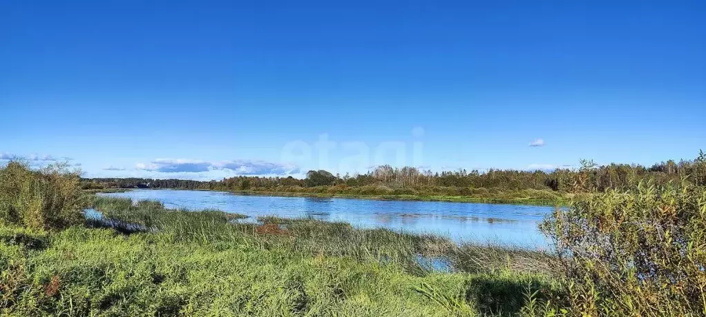Участок в Псковская область, Псковский район, Тямшанская волость, д. ... - Фото 0