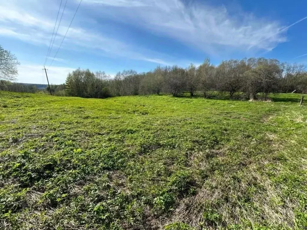 Участок в Новгородская область, Валдайский район, Яжелбицкое с/пос, д. ... - Фото 1