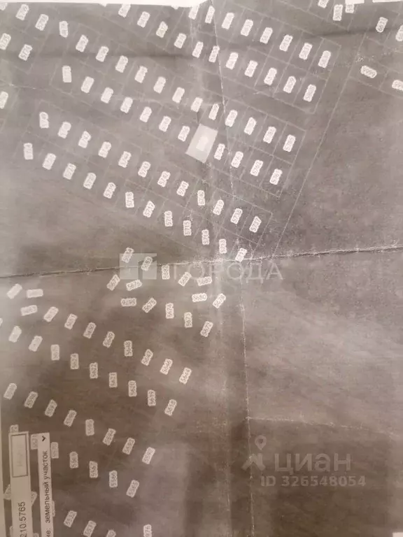 Участок в Новосибирская область, Колыванский район, Большая Семья СНТ  ... - Фото 2