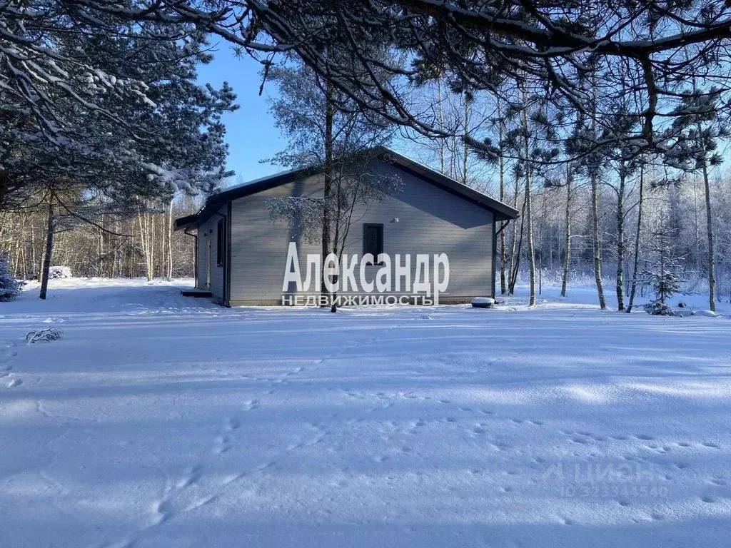 Дом в Ленинградская область, Выборгский район, Селезневское с/пос, ... - Фото 2