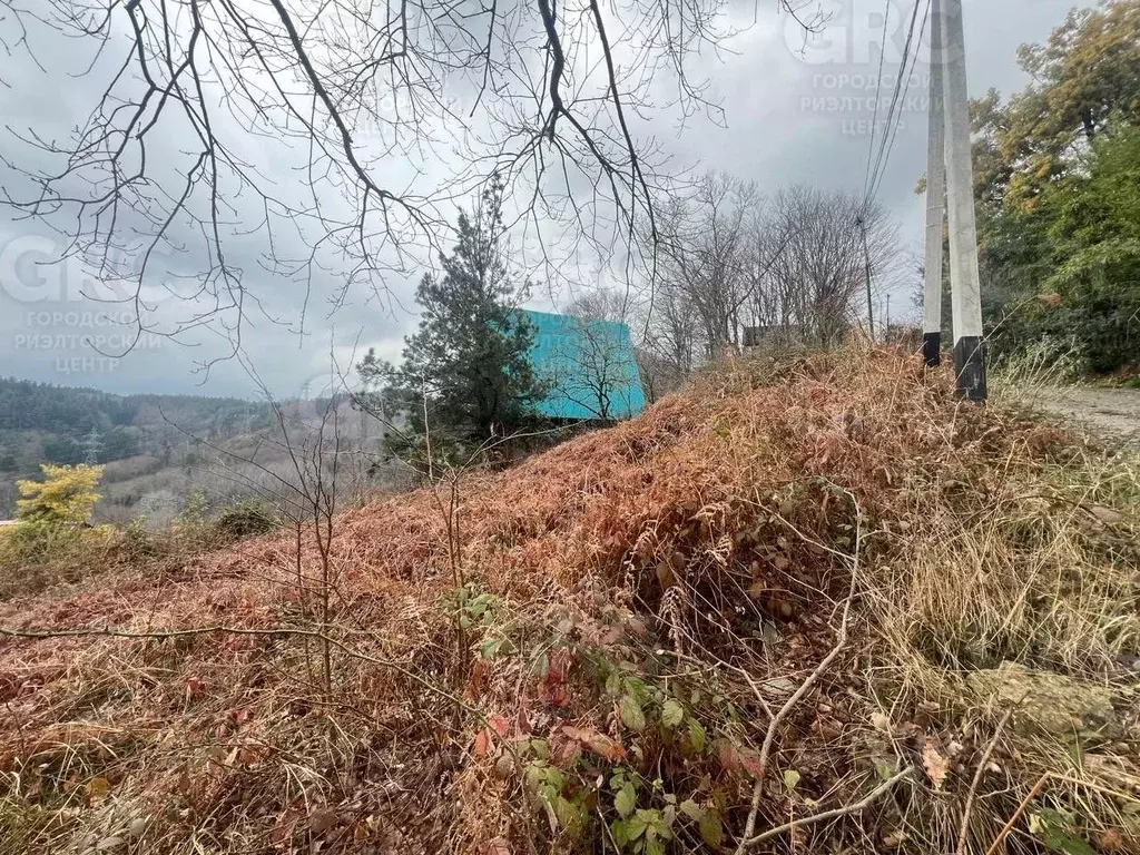 Участок в Краснодарский край, Сочи городской округ, с. Верхнеякорная ... - Фото 1
