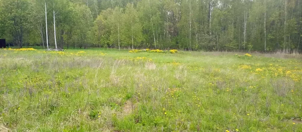 Участок в Московская область, Коломна городской округ, д. Семеновское ... - Фото 1