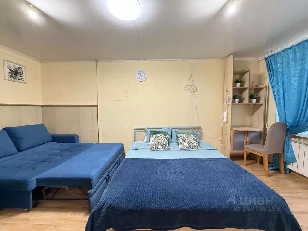 1-к кв. Пермский край, Пермь Екатерининская ул., 184 (31.0 м) - Фото 2