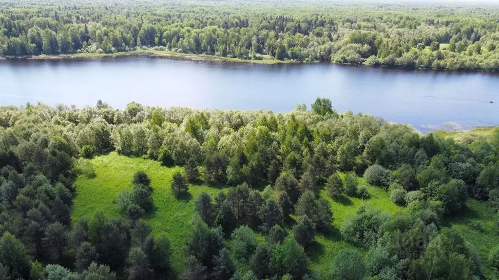 Участок в Тверская область, Конаковский муниципальный округ, д. ... - Фото 1