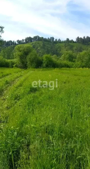 Участок в Алтай, Горно-Алтайск Виктория СНТ,  (10.4 сот.) - Фото 0