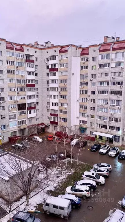 1-к кв. Саратовская область, Энгельс ул. Волоха, 15а (41.4 м) - Фото 1