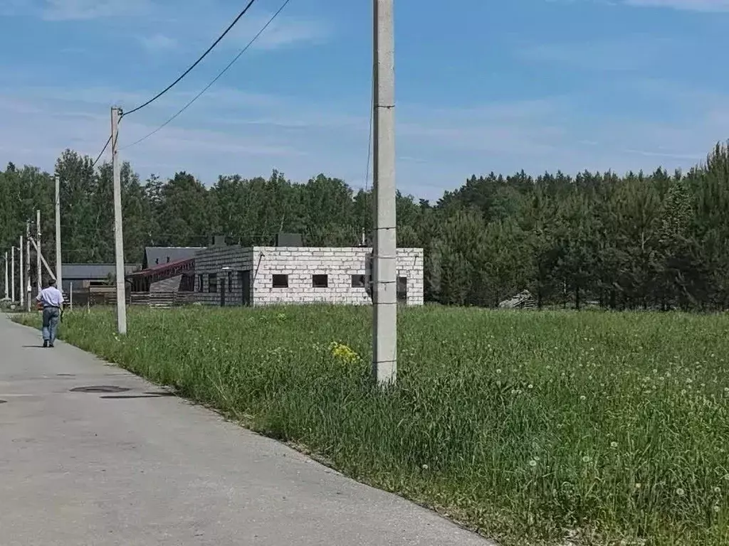 Участок в Новосибирская область, Новосибирский район, Кубовинский ... - Фото 1