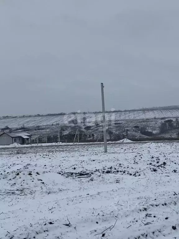 Участок в Белгородская область, Белгородский район, Головинское с/пос, ... - Фото 1