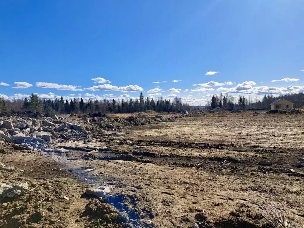 Участок в Ленинградская область, Сосновый Бор Легенда СНТ,  (11.0 ... - Фото 2